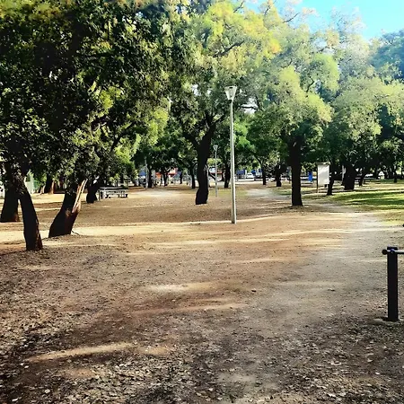 Comfort, Nature, Mountains And Sea