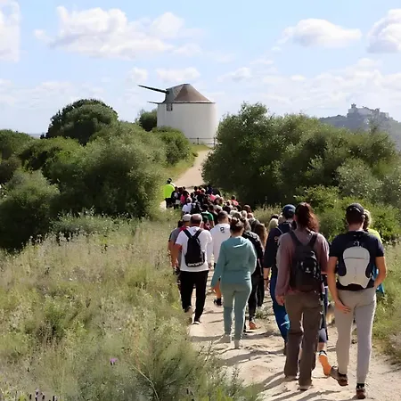 Comfort, Nature, Mountains And Sea